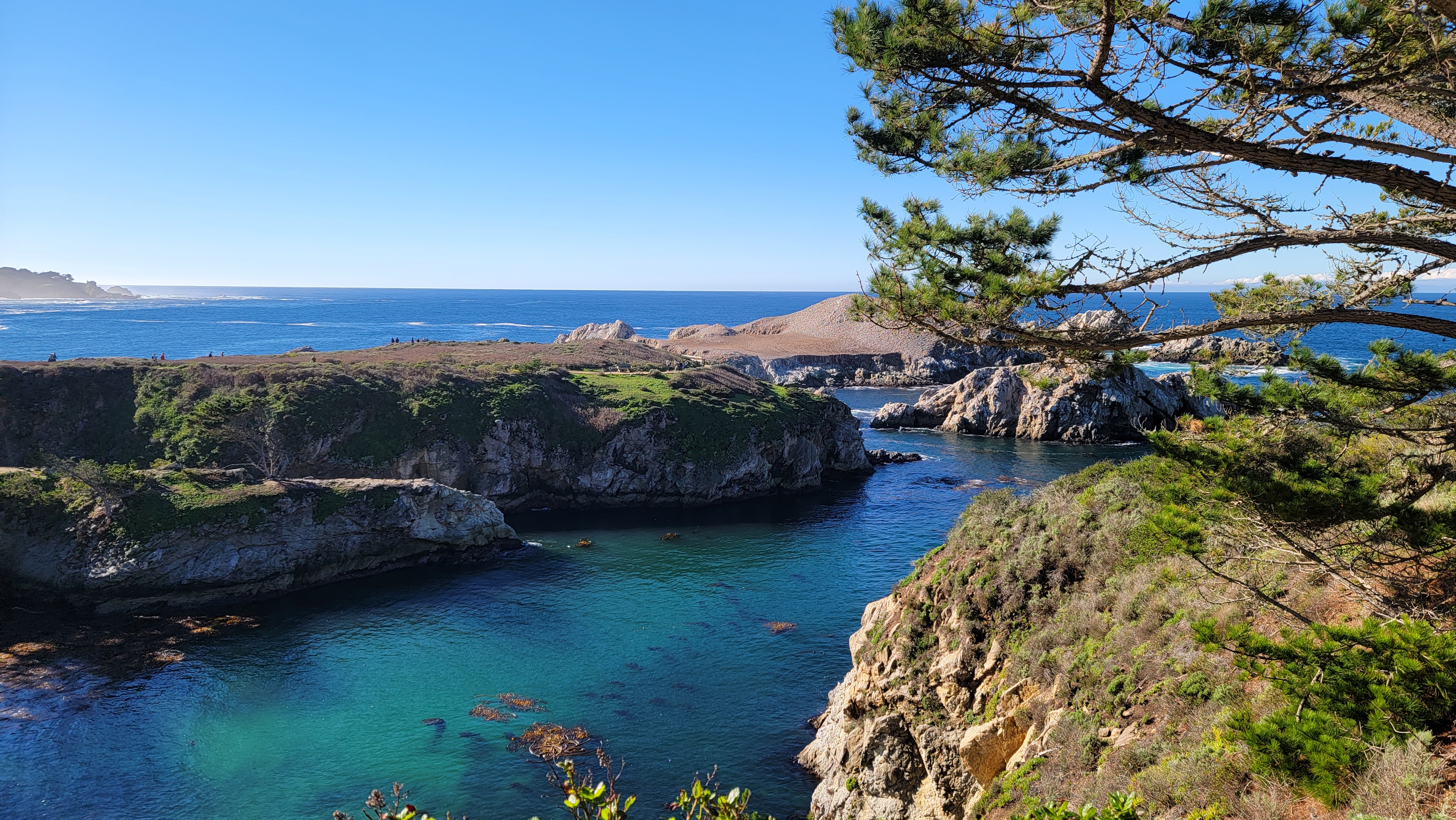 Point Lobos State Natural Reserve - Hiking the Highlights in one fun loop